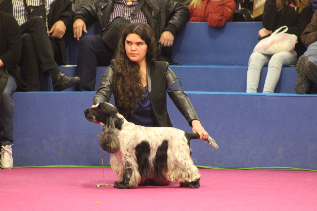 d'Amancy - Concours Général Agricole