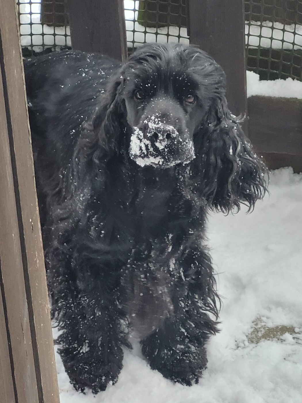 Bientôt des bébés