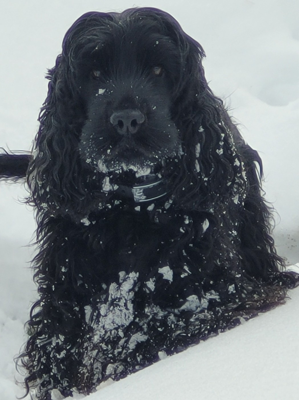 U're my Utopia by Radjah d'Amancy